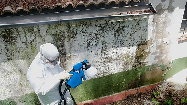 Top rated local Mold Inspection And Testing specialists in Ahoskie, NC